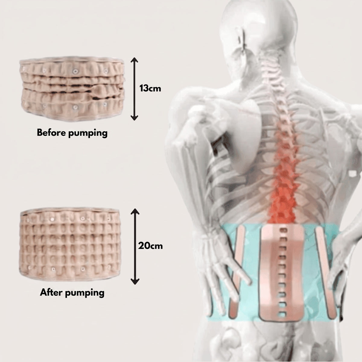 Elfoyo OrthoBelt – Stand Tall, Naturally