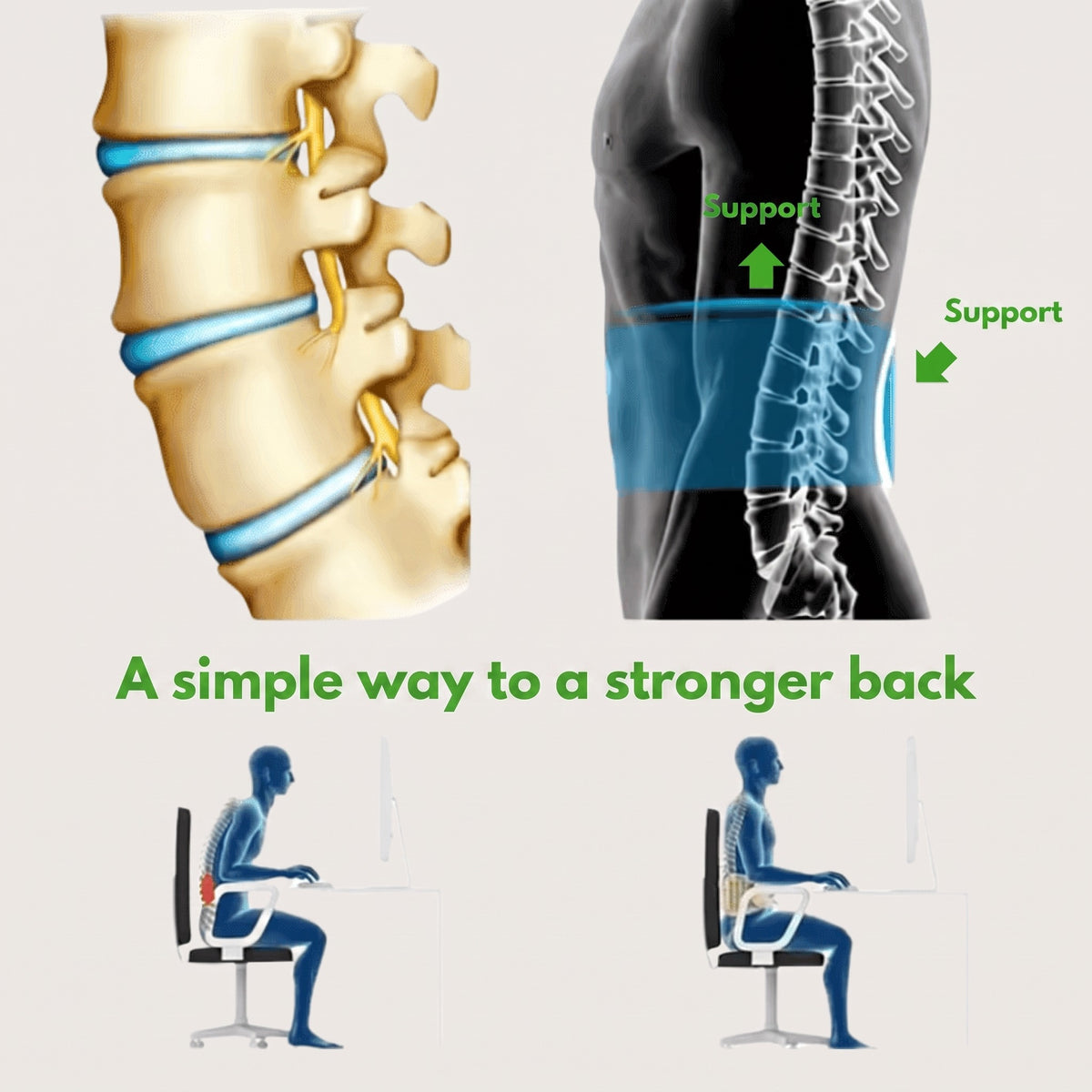 Elfoyo OrthoBelt – Stand Tall, Naturally